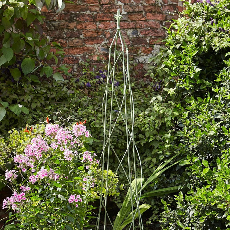 Tom Chambers Nostell Obelisk Sage - 1.6m - The Garden HouseTom Chambers