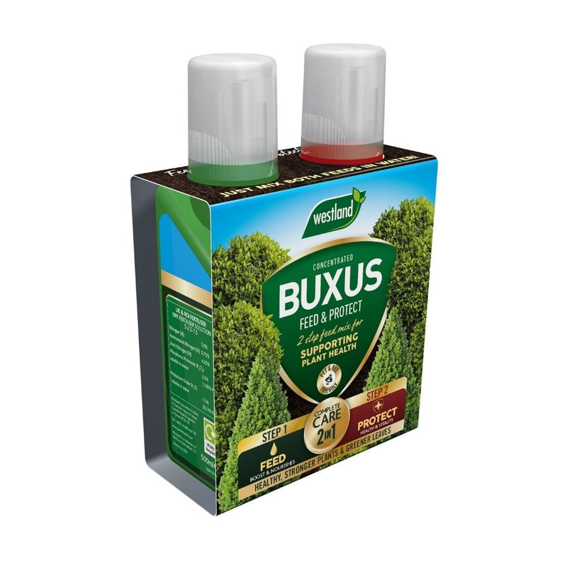 Westland Buxus 2 in 1 Feed & Protect