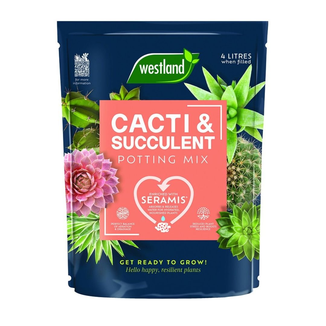 Westland Cacti & Succulent Potting Mix 4 Litres