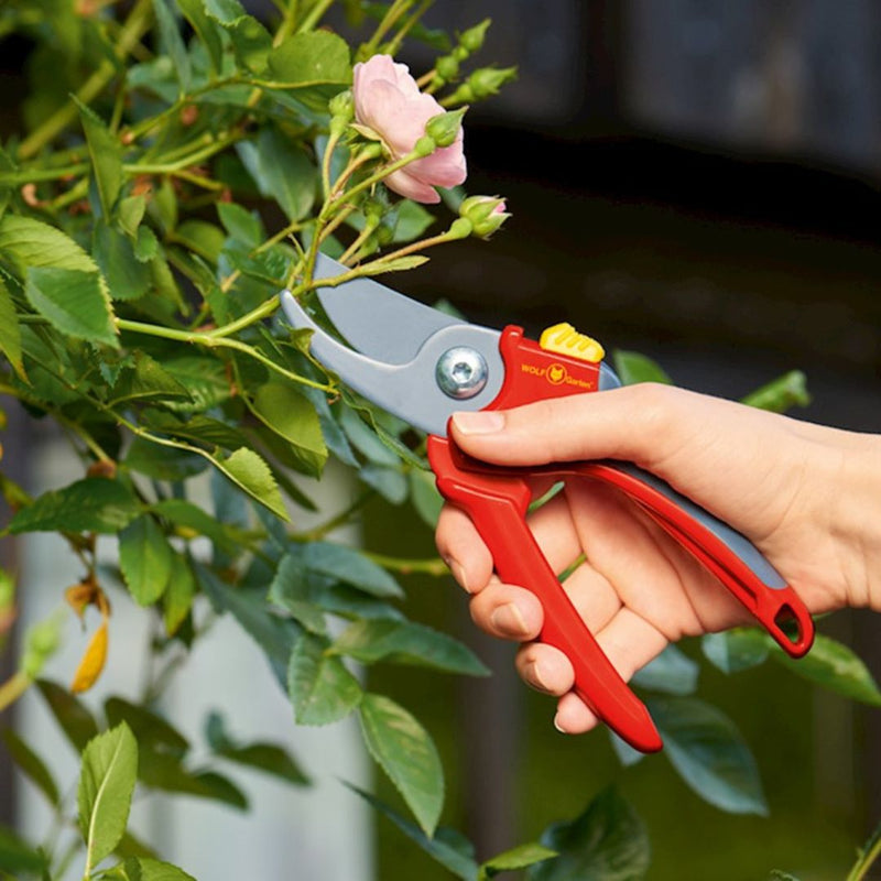 Wolf Garten Bypass Secateurs - The Garden HouseWolf Garten